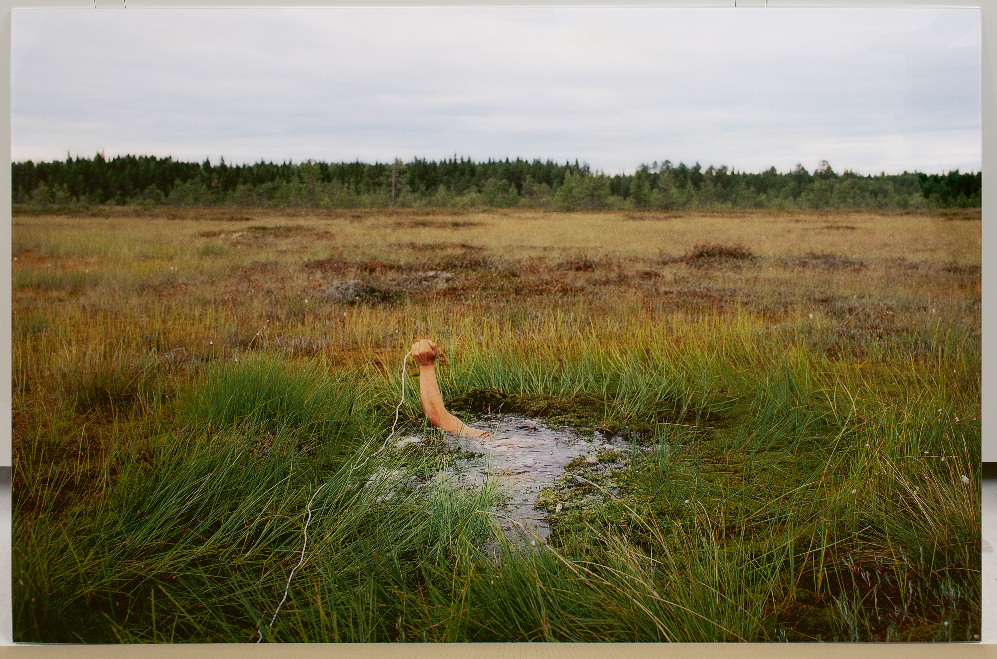Antti Laitinen, Selfportrait on the Swamp, 2002