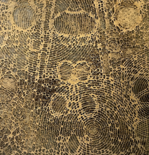 Symbio: Diana Scherer