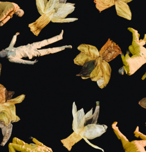 Umbild: Jules van Hulst & Wieger Steenhuis