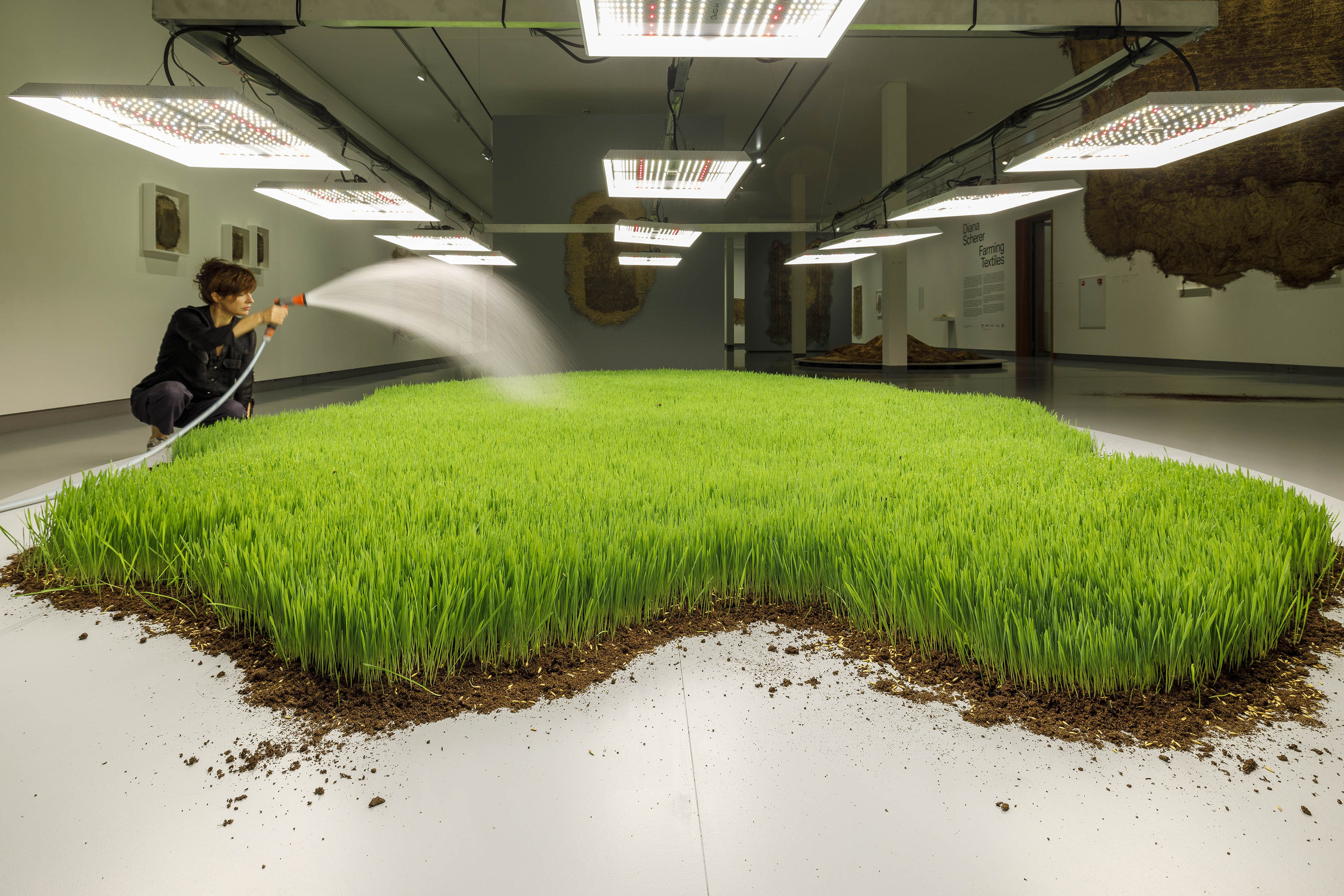 Diana Scherer, Farming Textiles, 2023, installatie Museum Kranenburgh, foto Michel Claus