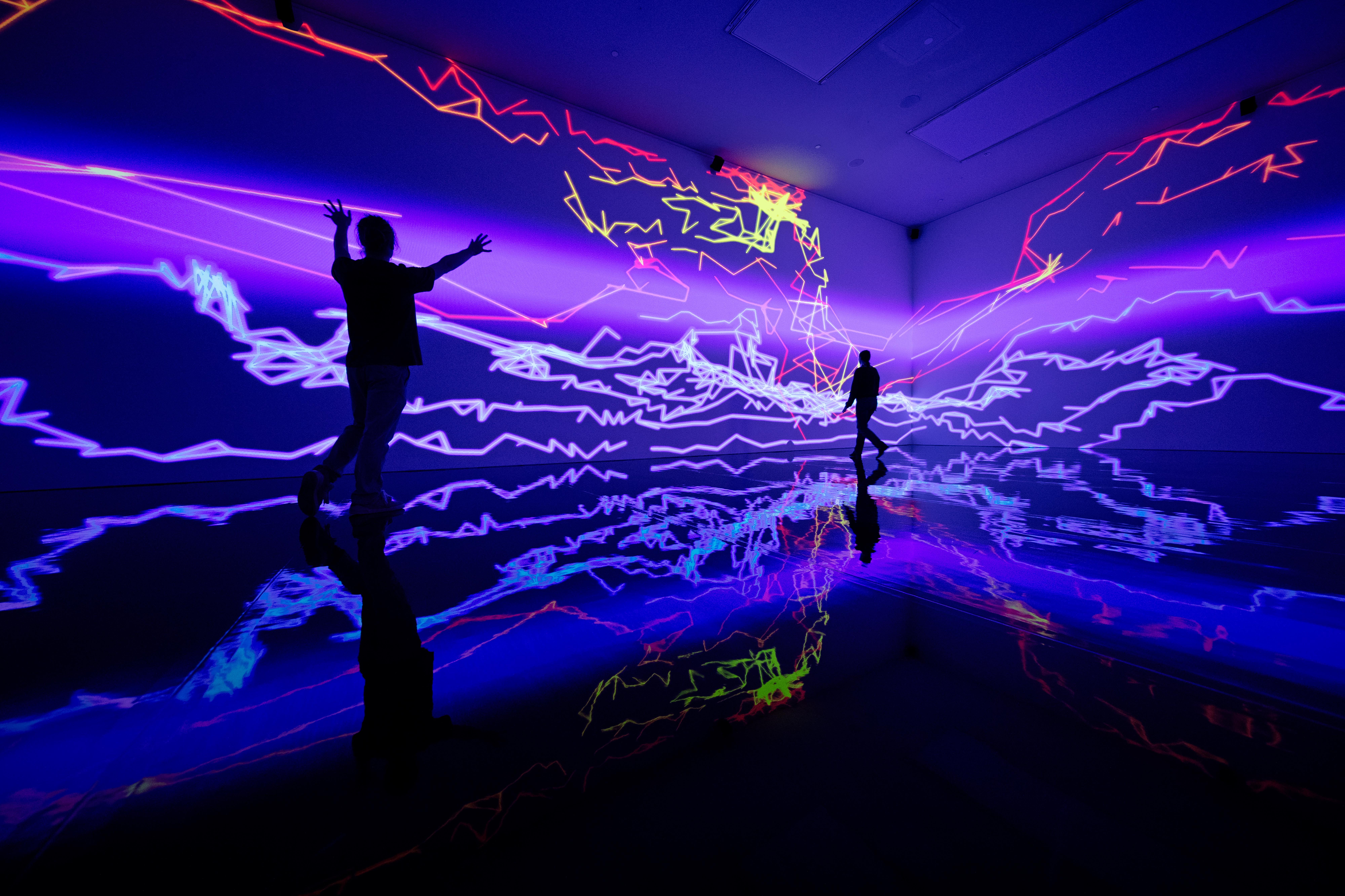 Digital by Nature. De kunst van Miguel Chevalier, Bonn 2025, foto door Thomas Granovsky