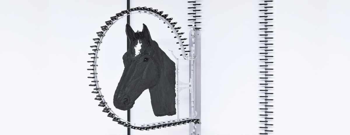 Jonathan van Doornum - Contemplating With a Horse